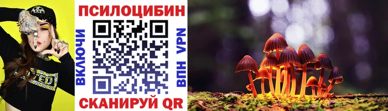 Галлюциногенные грибы Magic Shrooms ОМГ ОМГ ссылки Черепаново